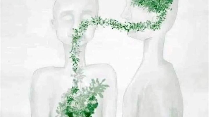 الحق والضلال