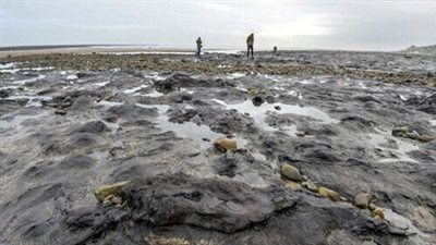 عاصفة إيما تكشف غابات مفقودة منذ 7000 سنة ببريطانيا