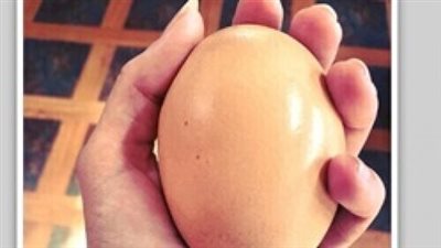 مزارع يحصل على مفاجأة غير متوقعة داخل بيضة (صور)