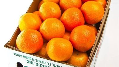 فى أحد أجتماعات درس الكتاب المقدس دخلنا لنحضر ووجدنا مفاجأه فى أنتظارنــا