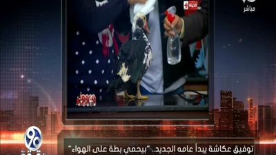 بالفيديو | الباز يسخر من عكاشة بعد احتفالة ببداية العام الجديد بحموم بطه علي الهواء ووضع لها شاور وبرفان