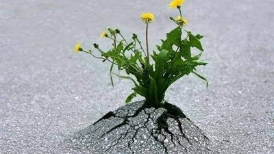 صباح الأمل اليوم الأحد 25 يوليو 2021