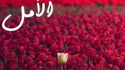 صباح الأمل اليوم السبت 31 يوليو 2021