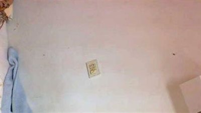 وإحنا داخلين على الصيف.. احذر من حساسية الحشرات