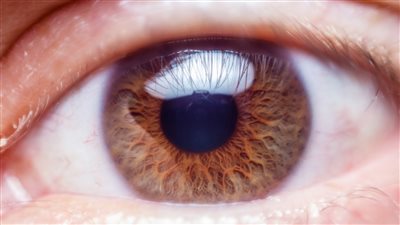 6 علامات اذا ظهرت في العين تحذرك من الاصابه بمرض قاتل