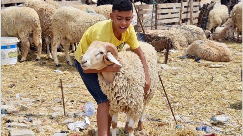 الحق والضلال