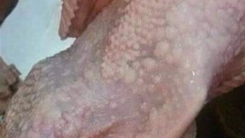 الحق والضلال