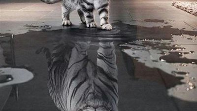 صباح الأمل اليوم الأربعاء 11 أغسطس 2021