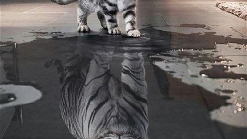 الحق والضلال