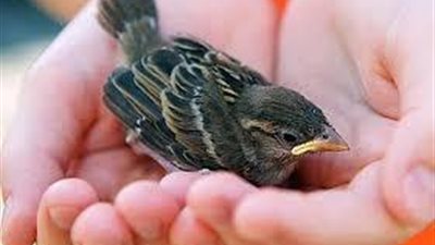 ..كيف تهرب من الله ؟؟؟ موضوع يهمك جدا