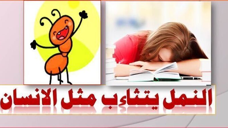 الحق والضلال