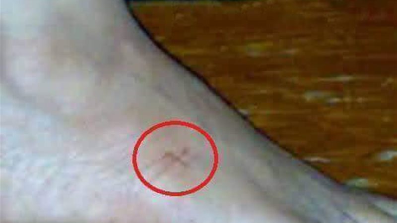 الحق والضلال