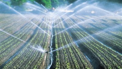 قـــرار رسمى من الدولة المصرية | التحول إلى الري بالرش أو التنقيط.. و منع الزراعة بالغمر