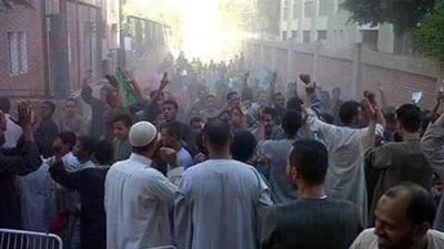 تحذير أوعوا مصر تتحول الي غابه . .