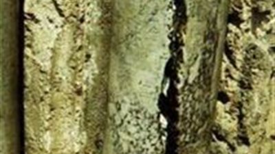 المعجزة الشهيرة المكتوب عنها فى سيرة حياة القديس القبطى الأنبا صرابامون أبو طرحة تحت يوم ( 28 برمهات) حادثة النور في القدس