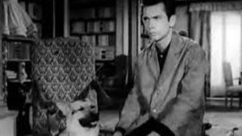 الحق والضلال