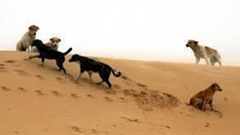 الحق والضلال