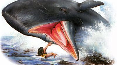 فيديوهات خاصة بصيام يونان - كل سنة والجميع بخير