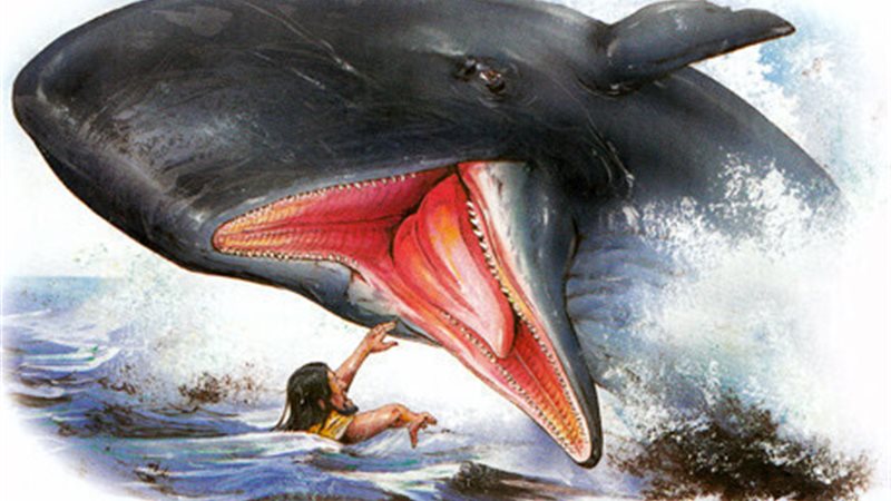 الحق والضلال