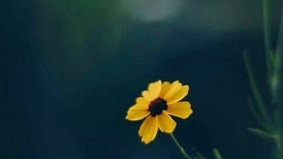 صباح الأمل اليوم الأثنين 4 أكتوبر 2021