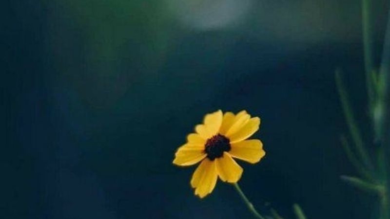 الحق والضلال