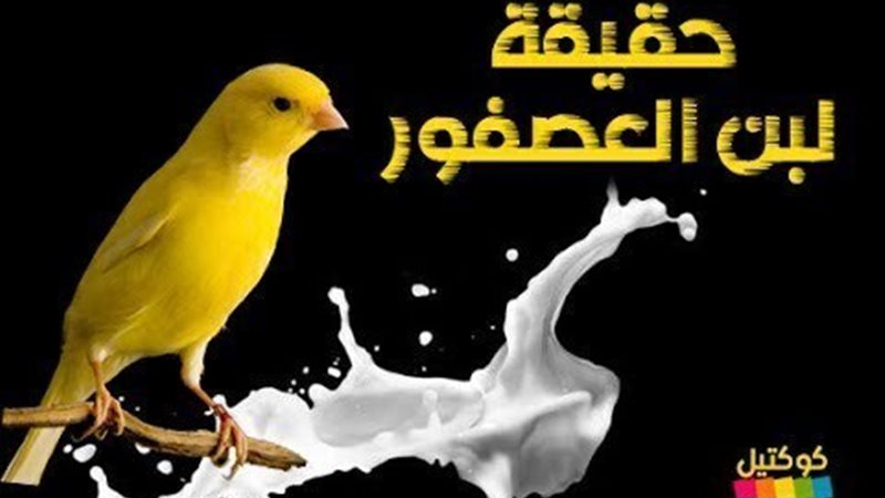 الحق والضلال