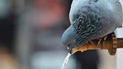 صباح الأمل اليوم الثلاثاء 12 اكتوبر 2021