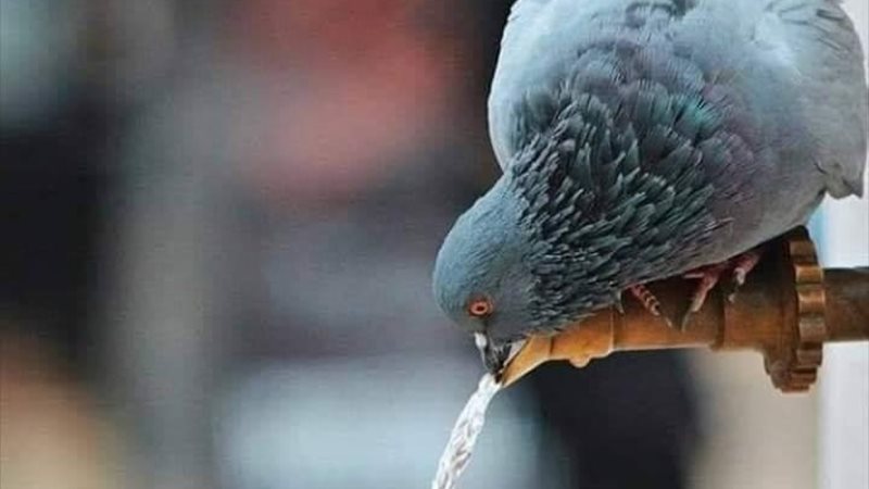 الحق والضلال