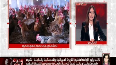 بالفيديو | دكتورة مصرية تكتشف تطور خطير بأنفلونزا الطيور ... شاهد التفاصيل