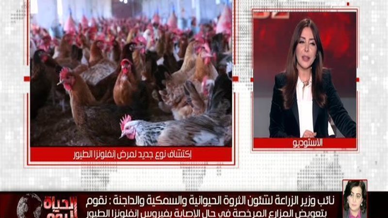 الحق والضلال