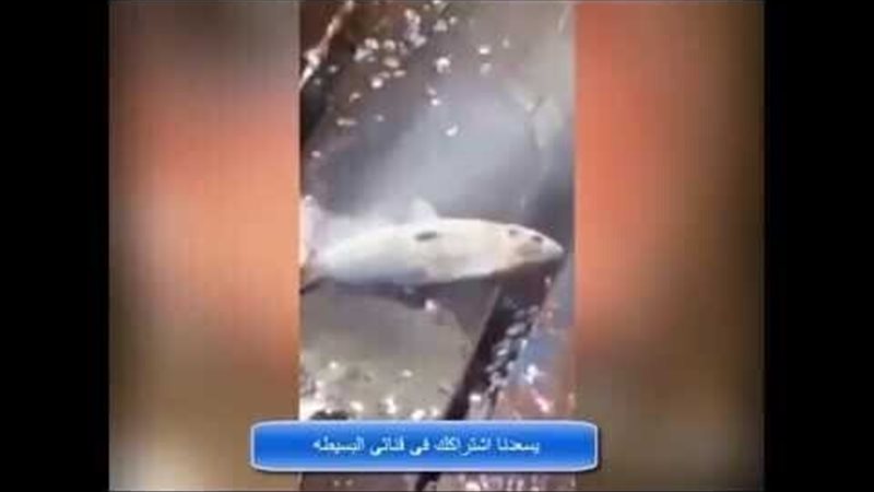 الحق والضلال