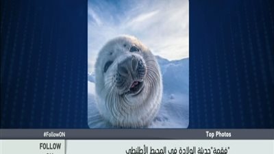 بالفيديو والصور . . . اكثر خمس صور مشاهده على الانستجرام اليوم