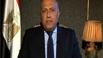 وزير الخارجية يكشف عن الدولة التى يولى لها الرئيس السيسى اهتماما كبيرا ويحرص على مصالح شعبه