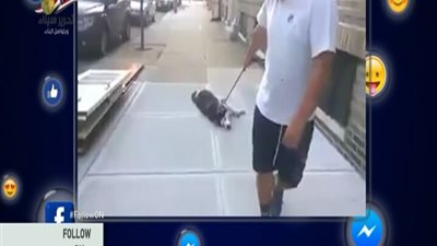 بالفيديو || كلب مبدع فى التمثيل شاهد ماذا فعل لكى لا يعود للمنزل