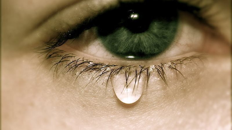 الحق والضلال