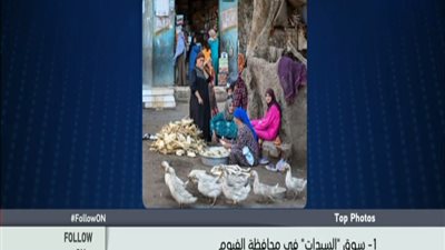 بالفيديو . . . اعلى واكتر خمس صور مشاهده على الانستجرام منهم واحده بمحطه مترو السادات