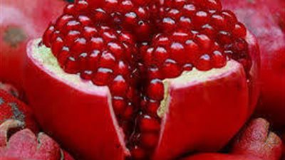 فوائد مذهله للرومان