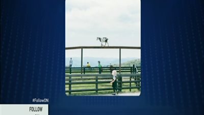 بالفيديو الصور الاكثر مشاهده على مدار اليوم