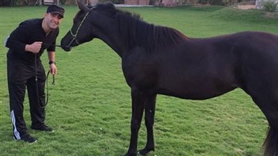 بالفيديو.. تعرف على احداث مسلسل الحصان الاسود وبعدها حدد اذا كنت ستشاهده ام لا