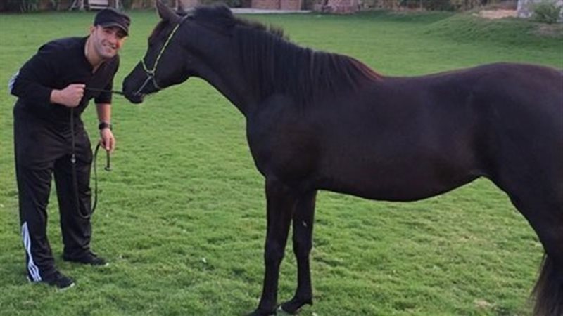 الحق والضلال