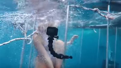 بالفيديو|الممثلة مولي كافالي تتعرض لهجوم من أسماك القرش أثناء تصويرها أحد الإعلانات