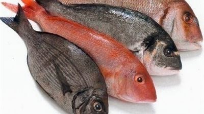 كيف اكل المسيح بعد القيامة؛ومعروف انه كان جسدا ممجدا؟