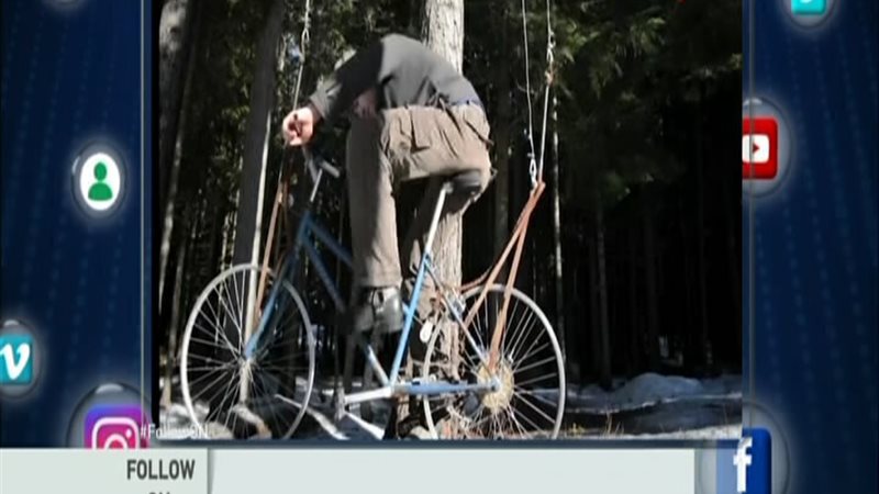 الحق والضلال