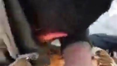 بالصور لحظات مؤثرة ومحزنة ومبكيه لشقيق مينا لحظة العثور علي جثتة