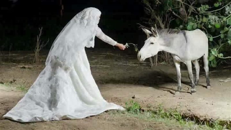 الحق والضلال