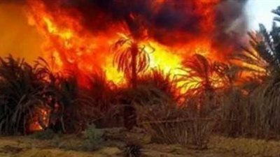 بالفيديو | رد فعل الدولة المصرية علي الحريق الهائل بالوادي الجديد و ما فعله رئيس الوزراء وما فعلته قواتنا المسلحة