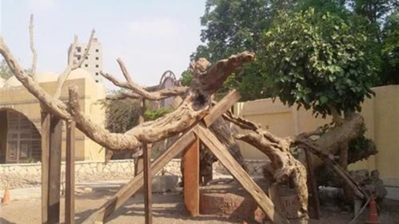 الحق والضلال
