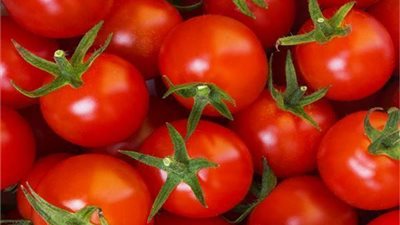 مفاجاة ستعرفها للمرة الاولى عن ما تفعلة الطماطم ضد هذا المرض الخطير