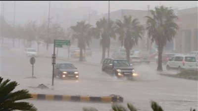 حالة الطقس من اليوم و حتى الأحد ٢٦ فبراير