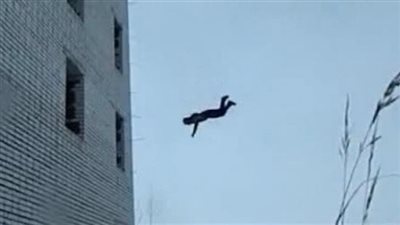 صدق او لا تصدق .. لحظة واحدة بين الحياة والموت.. شاب ينقذ طفلًا سقط من الطابق الخامس